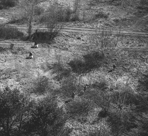 soldiers taking tactical positions on a wilderness field