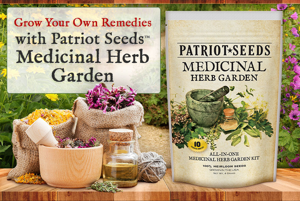 Medicinal Herb Garden Seed Kit 100 Heirloom Seeds, nonGMOs My Patriot Supply