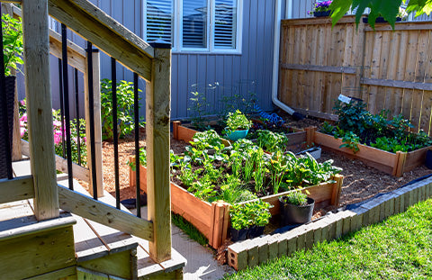 A quaint backyard garden with garden boxes and stone boundaries, right next to deck stairs.