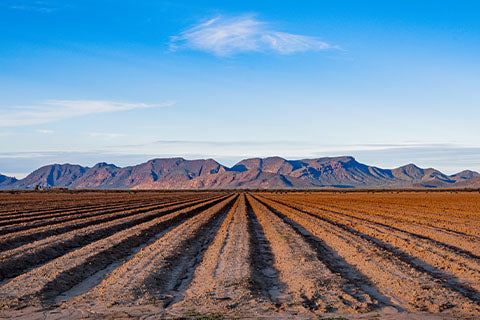A farm field plowed and ready for planting.