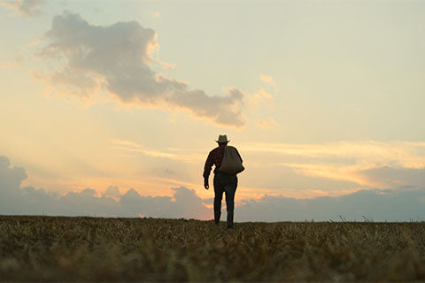 A farmer carrying a sack over his shoulder walking away from his fields.