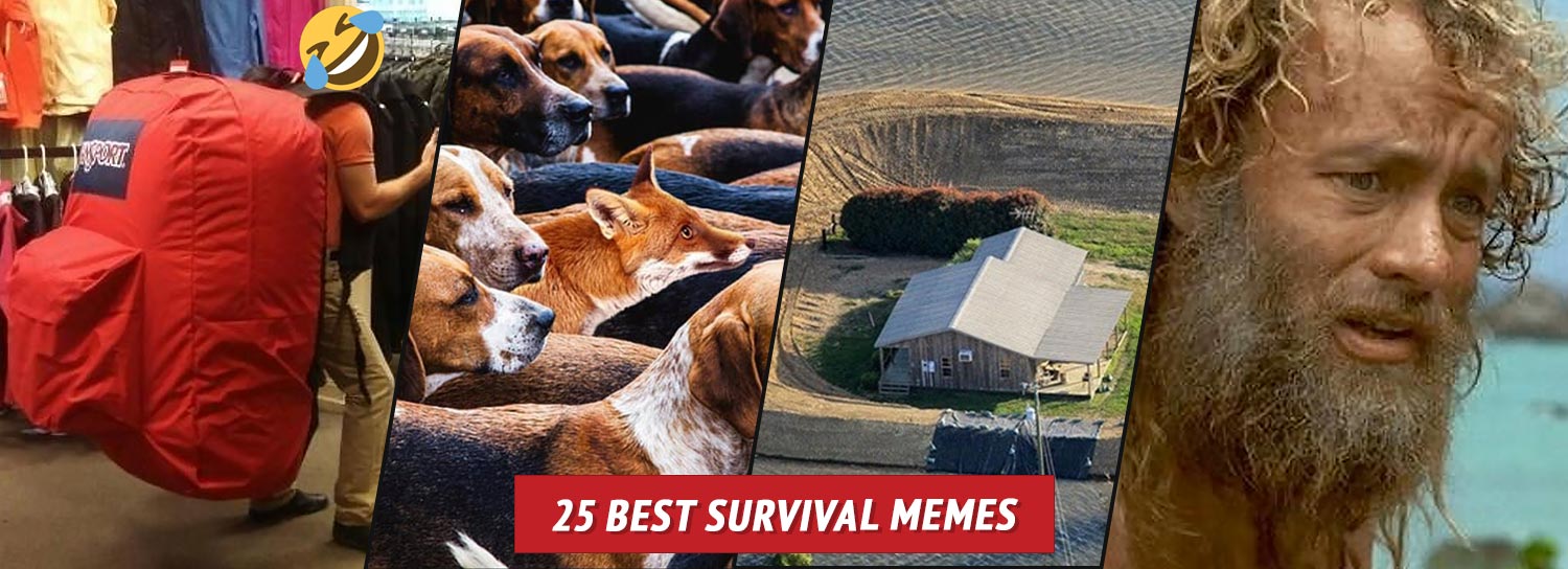 Woman wearing large backpack, group of dogs, house in a field, and Tom Hanks in Cast Away.