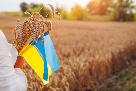 a hand holding grain and a ukranian flag in front of the field