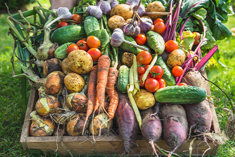 A wood crate overflowing with a colorful variety of vegetables.