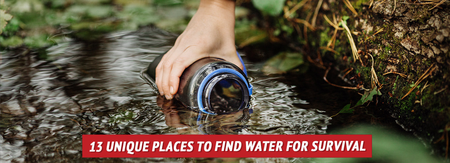 How to Find Water in a Survival Situation