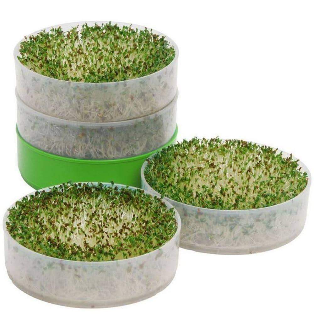 Deluxe Kitchen Crop Sprouter 4 Trays With Alfalfa Seeds Included My   IMAGE 3 98973c60 C7cb 4cb9 9de4 03ebaa495ba0 1024x1024.JPG