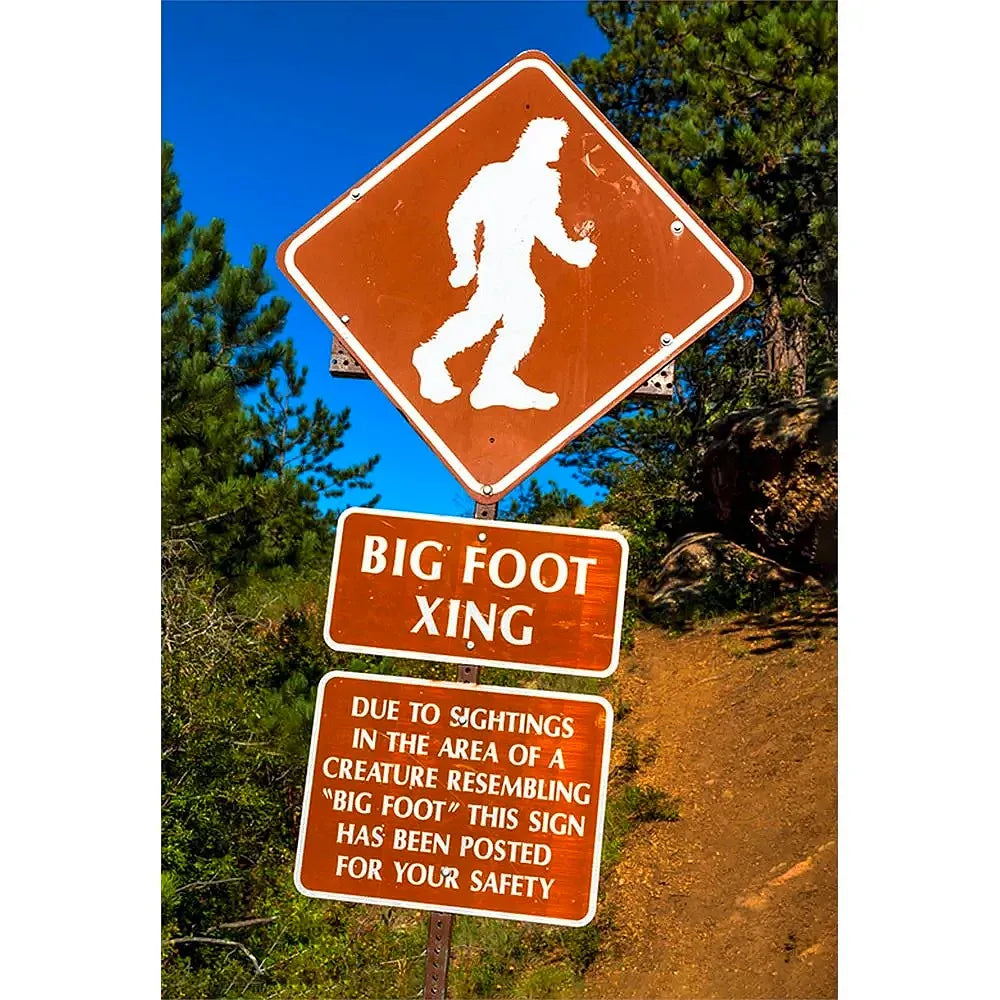 BIGFOOT - 2 Image 3D Magnet for Refrigerator, Whiteboard, Locker