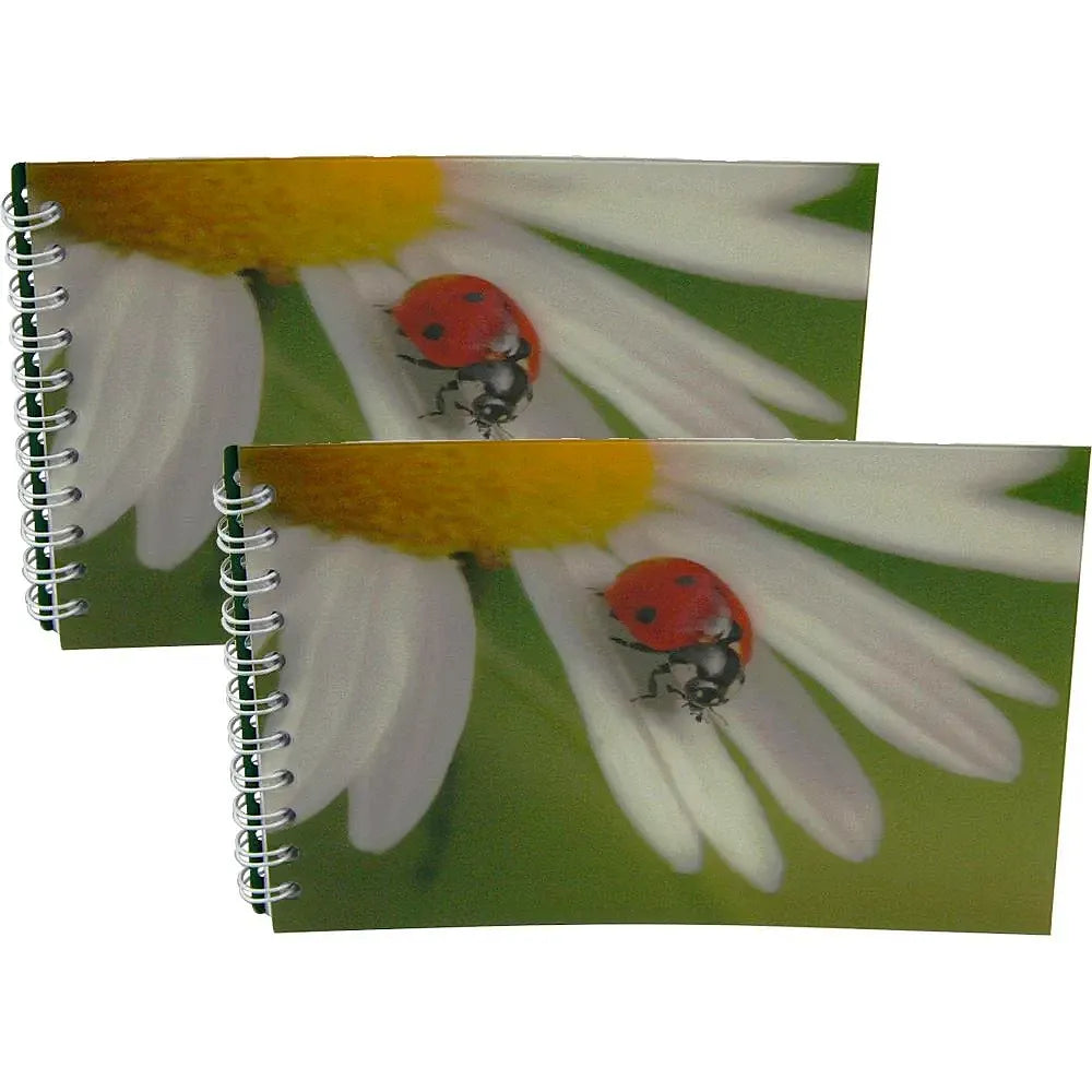 LADYBUG ON DAISY - Two (2) Notebooks with 3D Lenticular Covers - Graph Lined Pages - NEW