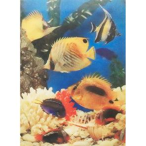 Aquarium Fish - 3D Lenticular Poster - 12 X 16 Poster 3dstereo 