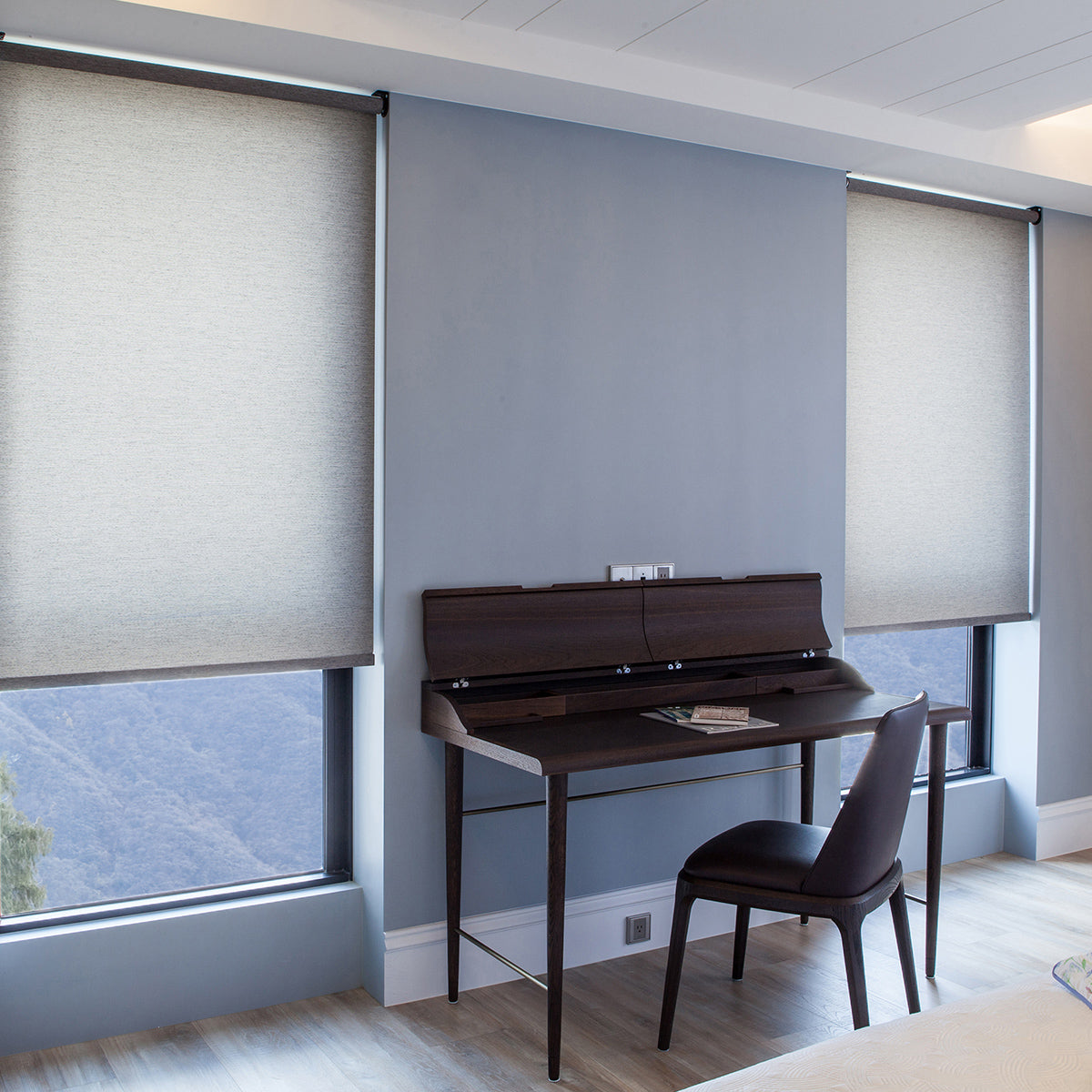 Roller Blind 71 | Dual Roller Shades |