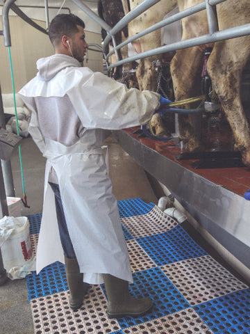 White Milking Gown Grizzly Dairy Wear