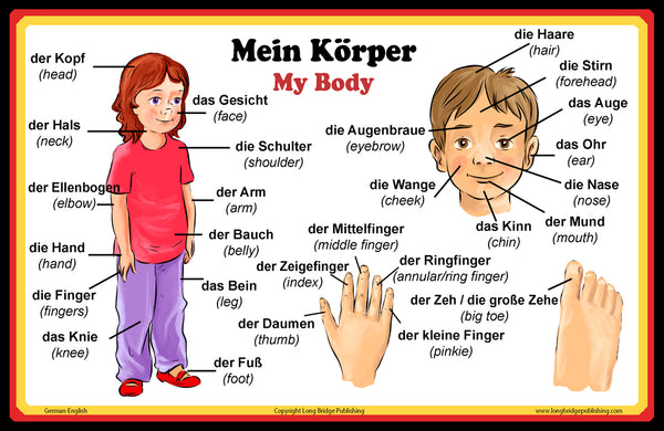 German Language School Poster Words About Parts Of The Body Wall C Long Bridge Publishing