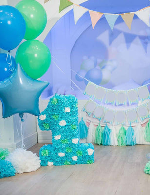 Birthday Backdrops For Photography Shopbackdrop