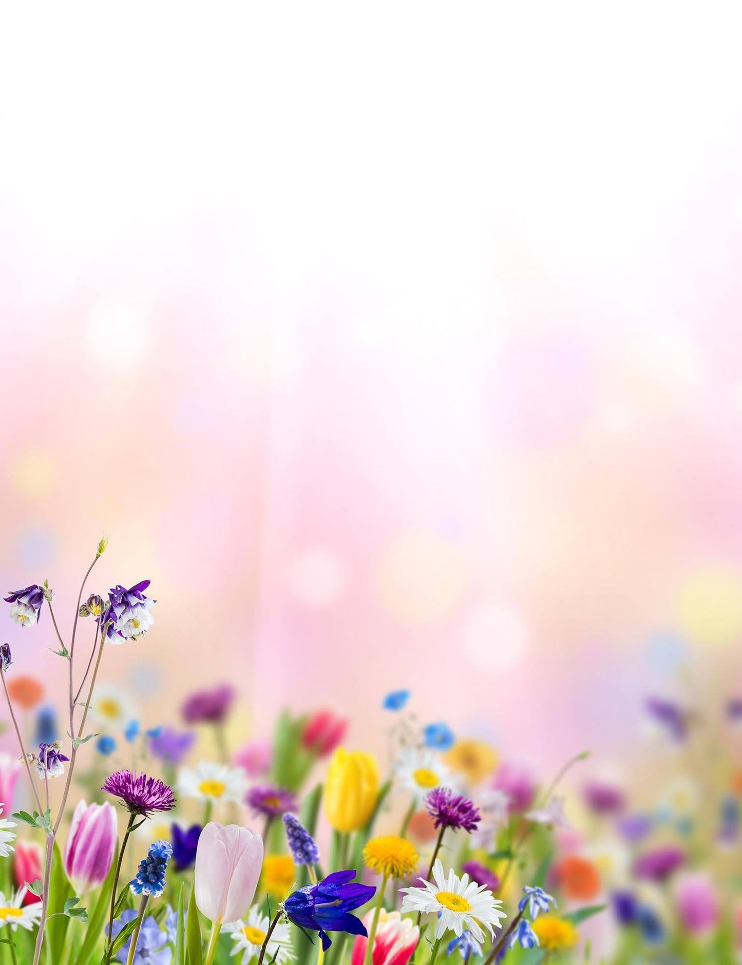 Bokeh Sunshine Wildflowers With Pink Background For Baby Backdrop Shopbackdrop