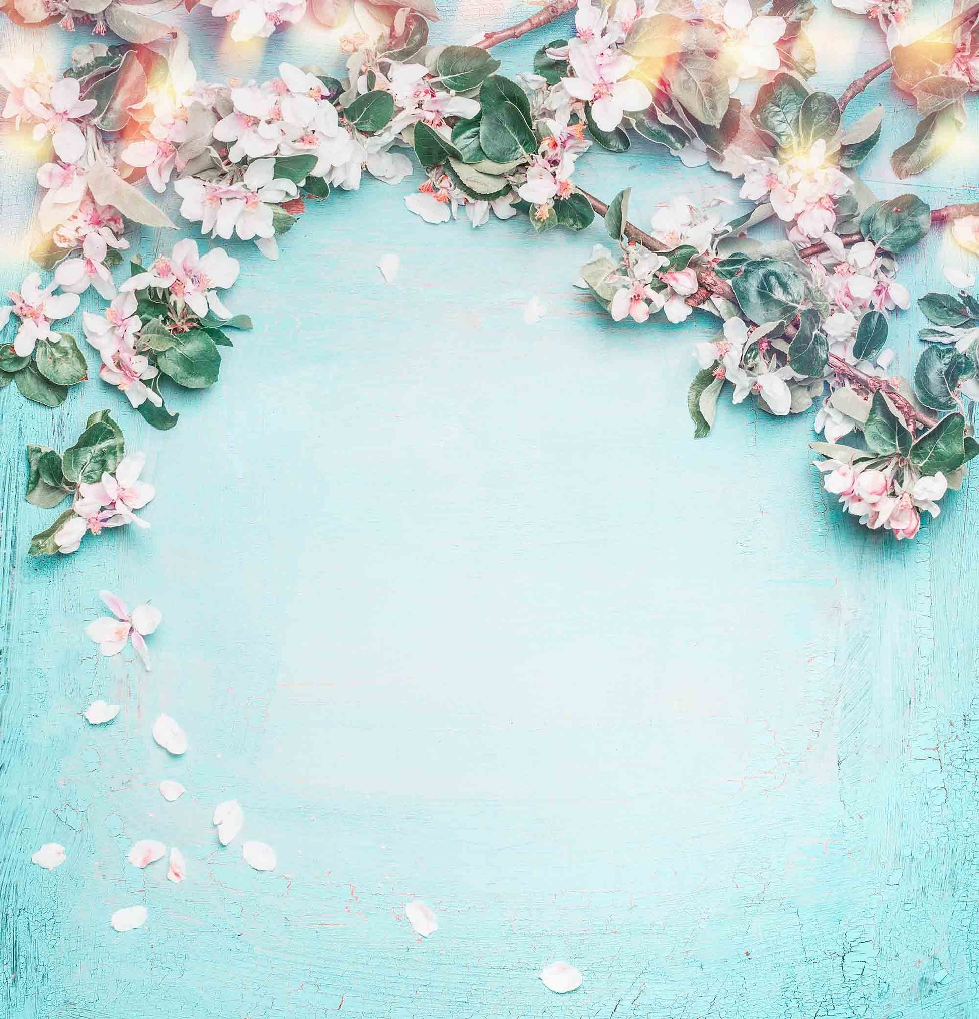 Cherry Blossoms On Light Cyan Wall Photography Backdrop – Shopbackdrop