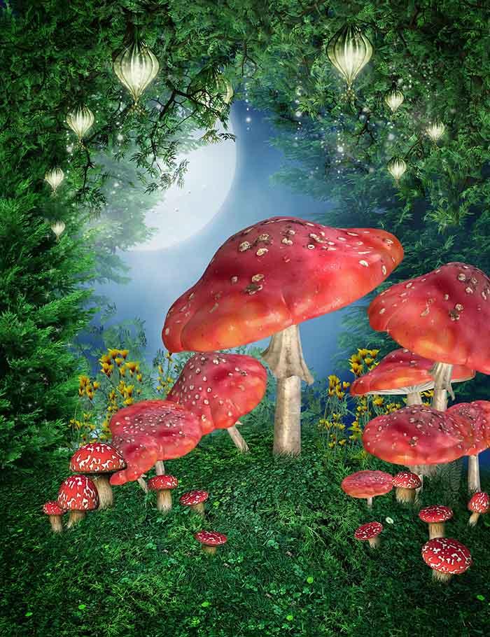 Fantastic Mushroom For Children Photography Backdrop J-0444 – Shopbackdrop