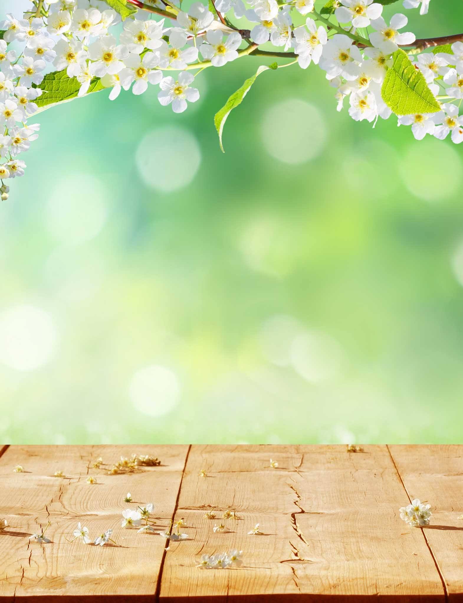 Green Bokeh In Sunlight With Floor Background For Spring Backdrop –  Shopbackdrop