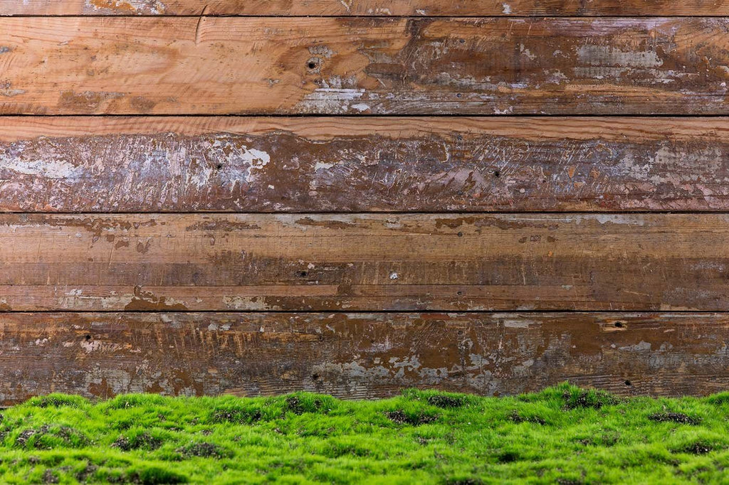 green grass backdrop