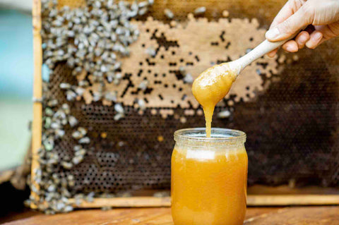 Bhutanese honey | Honey made and grown in Bhutan