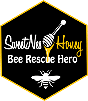 Bee Rescue Hero