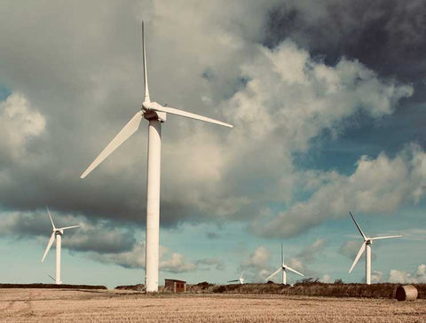 Wind turbines used to create sustainable energy