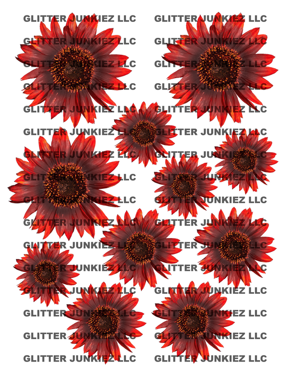 Free Free 285 Sunflower Waterslide Svg Free SVG PNG EPS DXF File