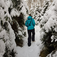 Heather in the snow