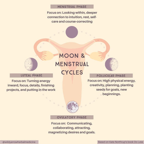 Moon & Menstrual Cycles: How to Harness the Power of Your Cycle for Pr –  Wild Yarrow Herbal Medicine Clinic & Dispensary