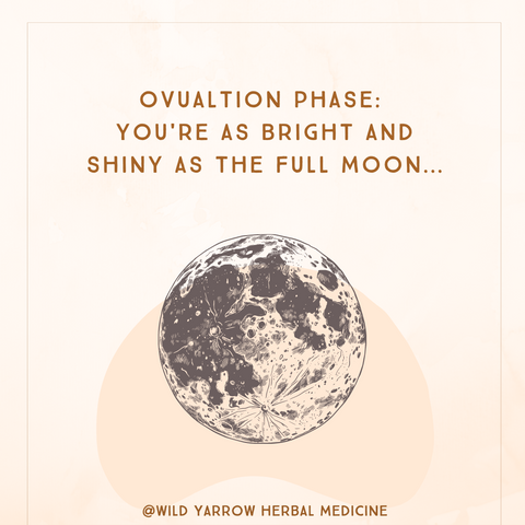 Moon Phases & Your Monthly Cycle – Happy Healthy You