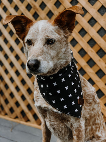 adjustable dog bandana