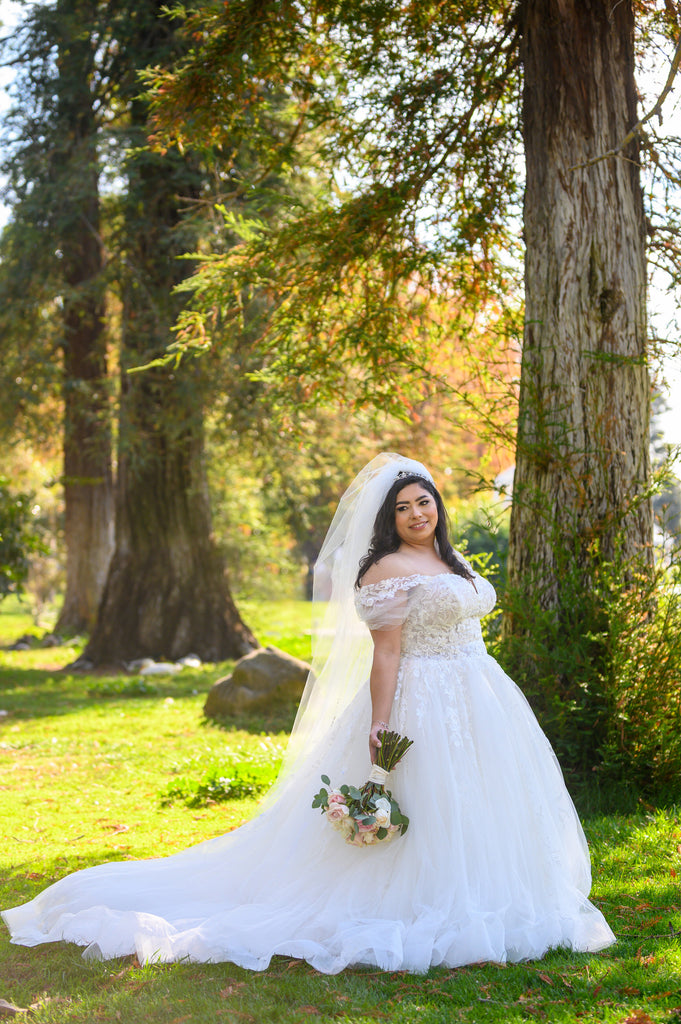 Janes Dress Studio Long Lace Wedding Veil White Ivory Bridal Veil with Comb Blusher Wedding Accessory