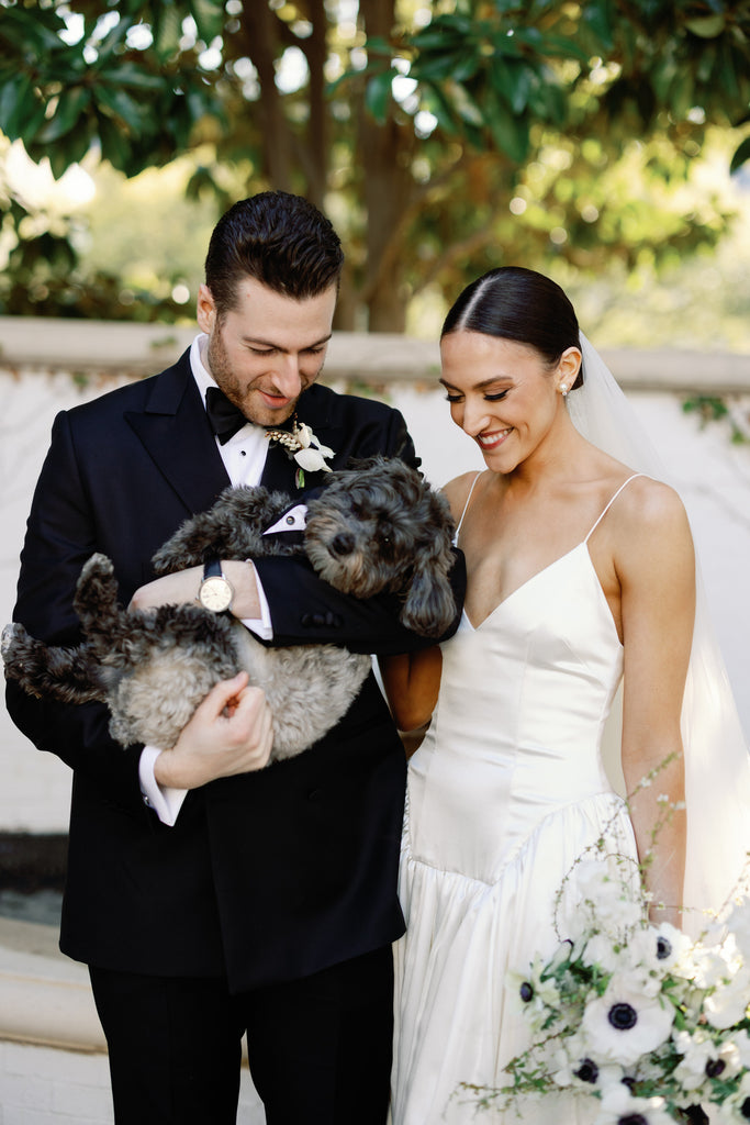 elegant formal bride and groom with dog and bride wearing sleek bun and sheer silk bridal veil cathedral length