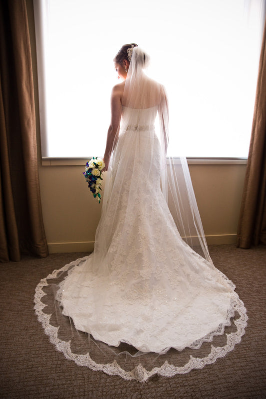 Cathedral Length Veil with Frosted Lace Appliqués