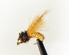 3 Pack Double Bead Black Biot Legs Gold Ribbed Hare's Ear Nymph Fly Fi –  Wasatch Tenkara Rods