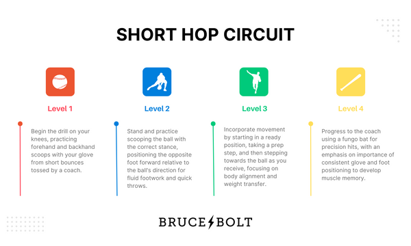 Infographic breaks down circuit drill.