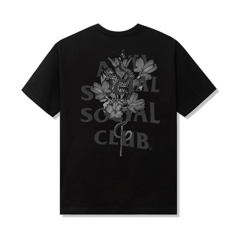 ASSC_WeeklyDrop_7823_003_2048x