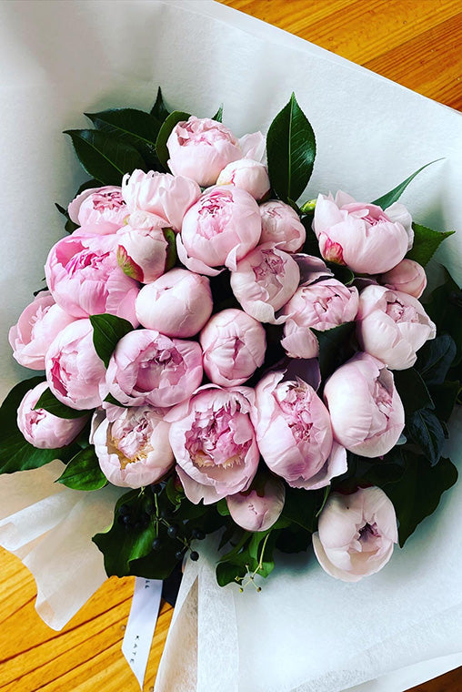 Pink Peony Bunch in White Paper