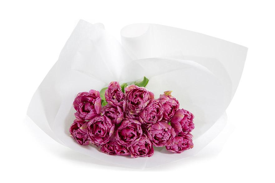 Double tulip bunch in white paper for flower delivery in Melbourne