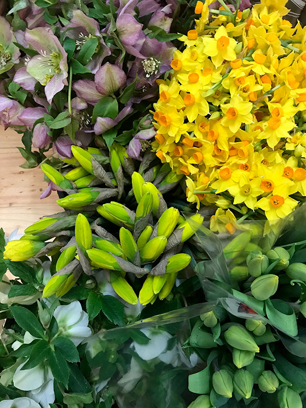 Purple and yellow flowers in Melbourne florist