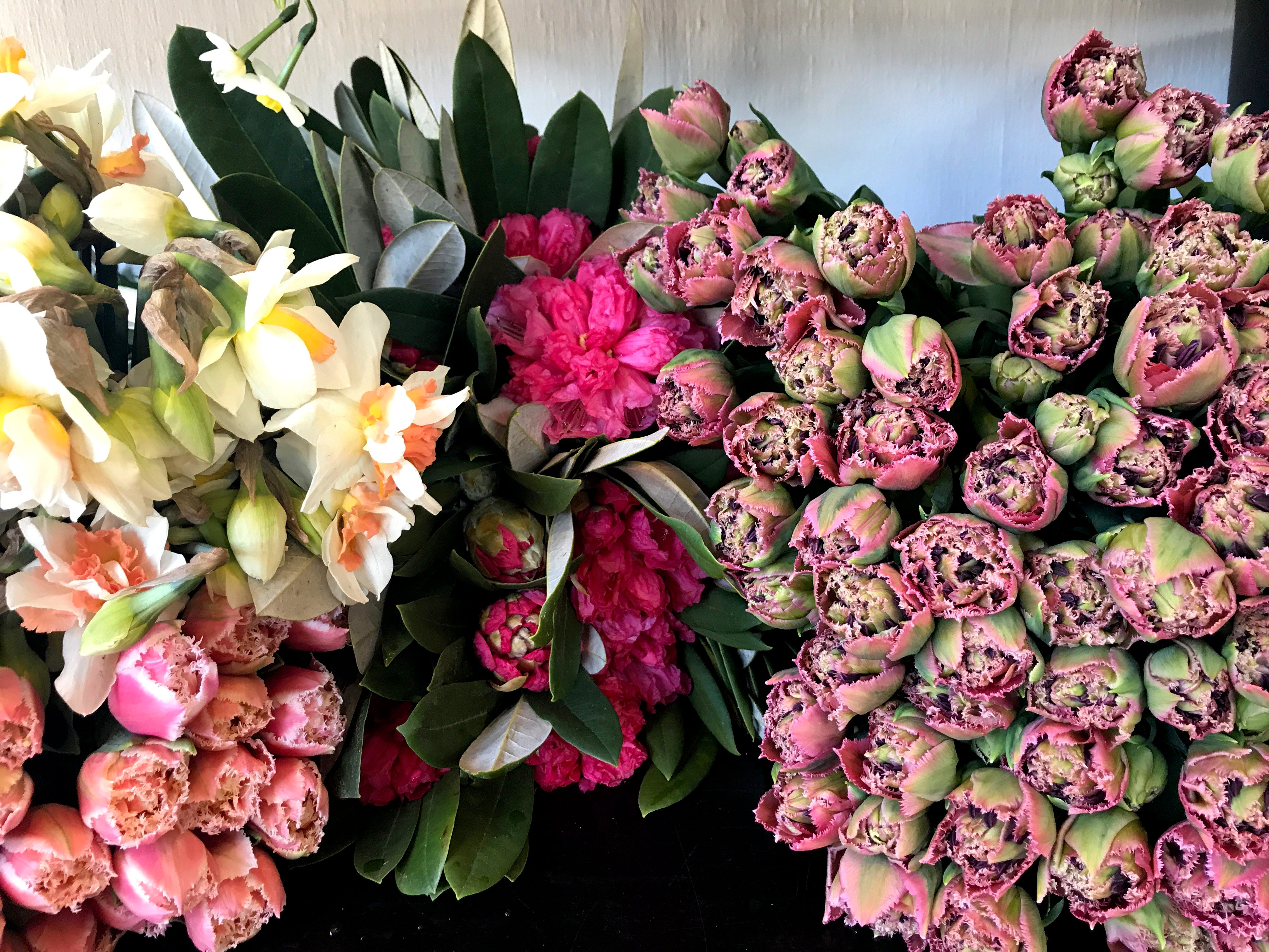 Pink tulip flowers in Melbourne Florist