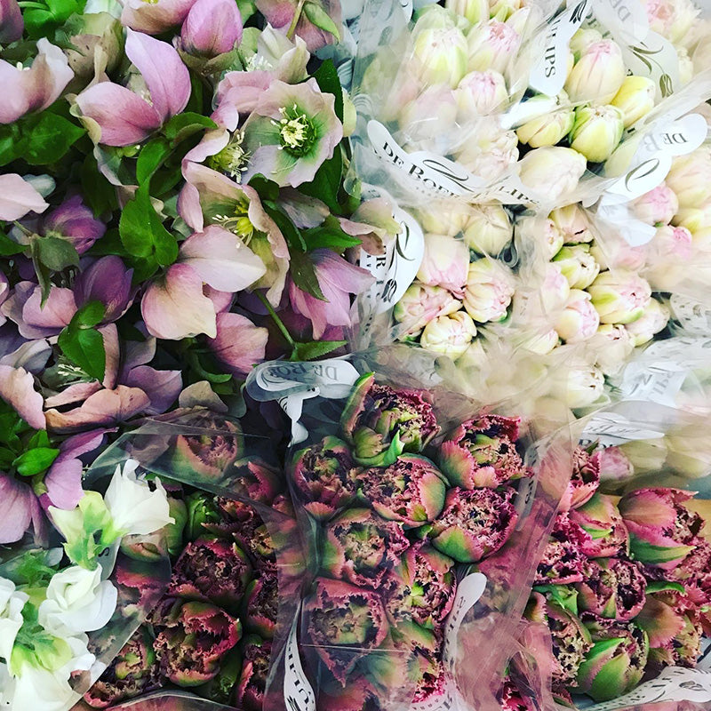 White pink and red winter blooms ready for sale at Melbourne Florist
