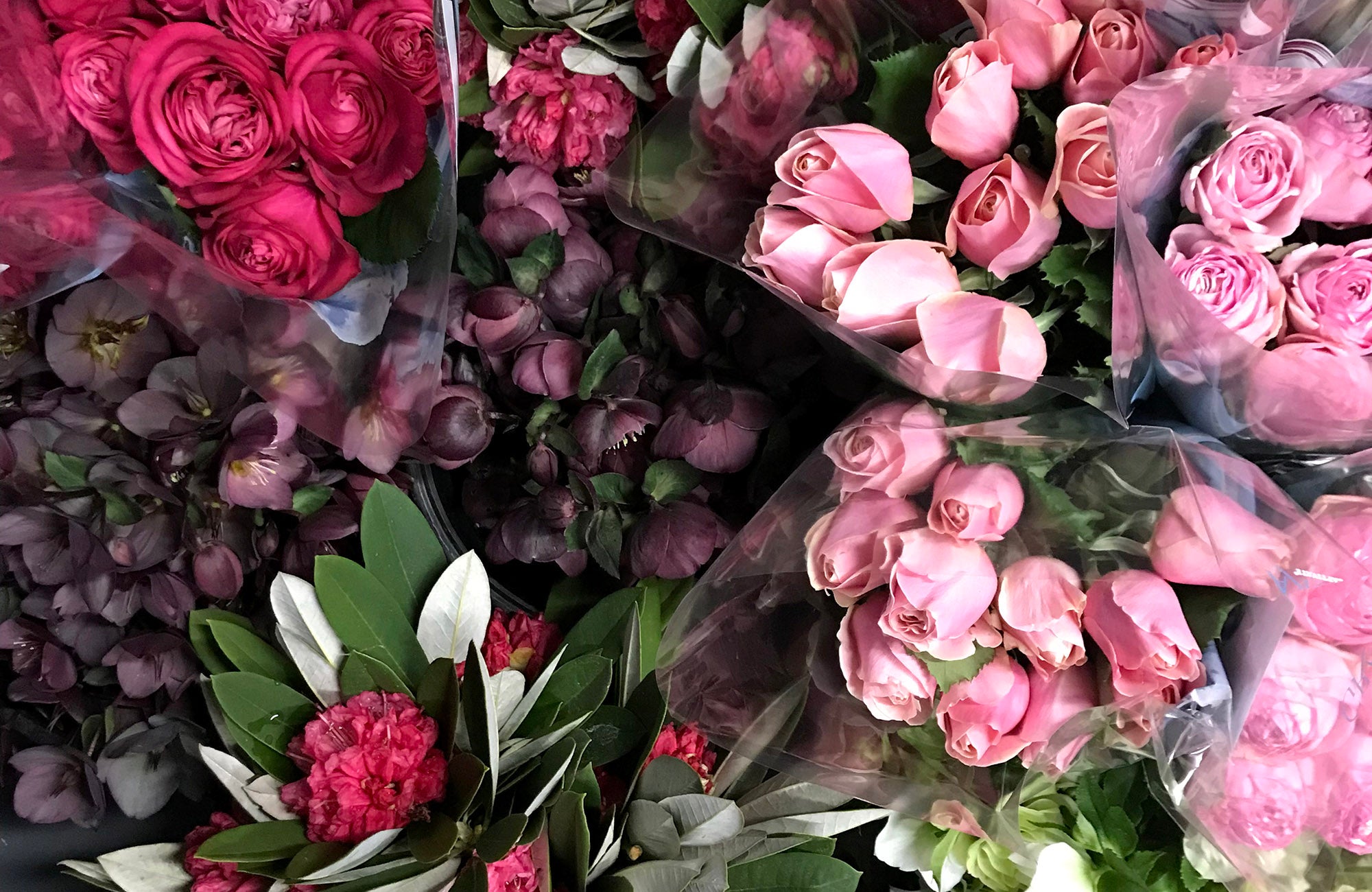 Variety of flowers ready for delivery in Melbourne Florist