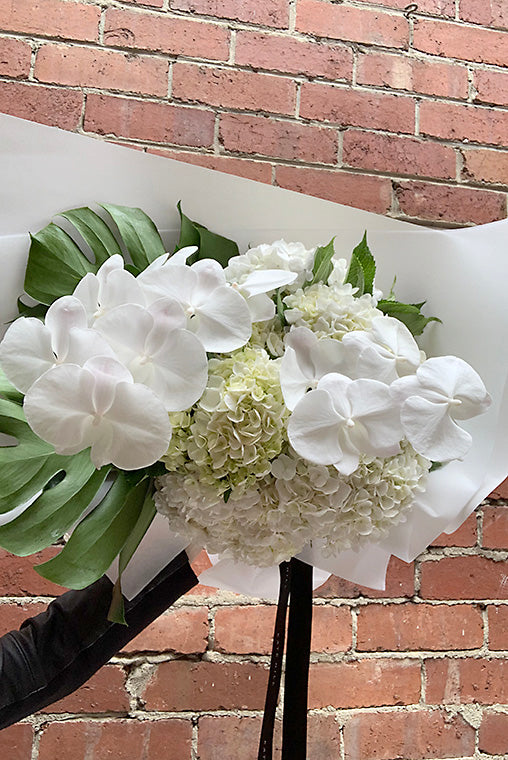 Lady holding flower bouquet consisting of white blooms with red wall background