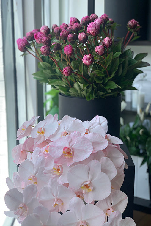 Peonies in shop window