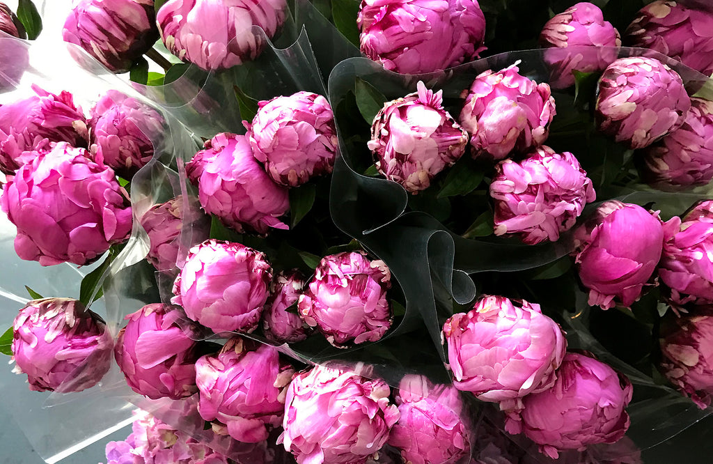 Pink peonies for sale in flower shop