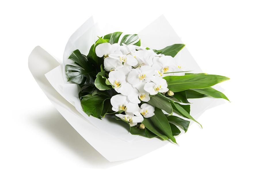 Flower Delivery Melbourne | Kate Hill Flowers - Kate Hill ...