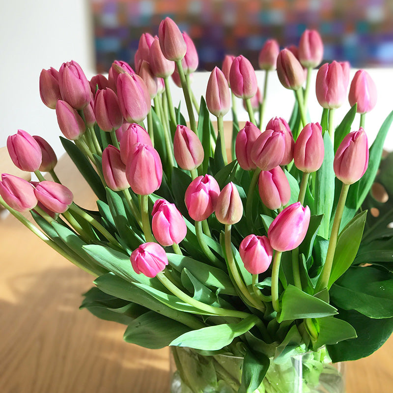 Pink Tulip flowers seated on dinning room table
