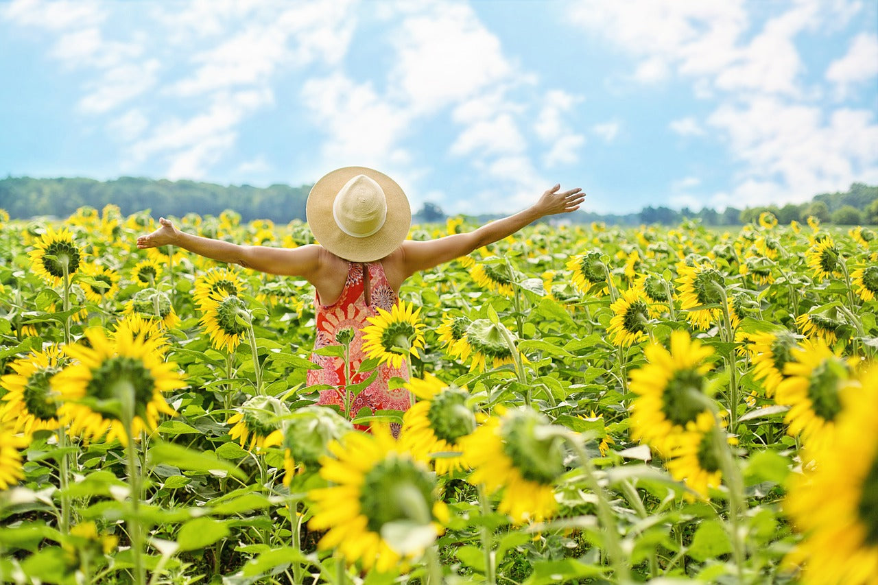 Lady in field of sunflowers with arms in the air