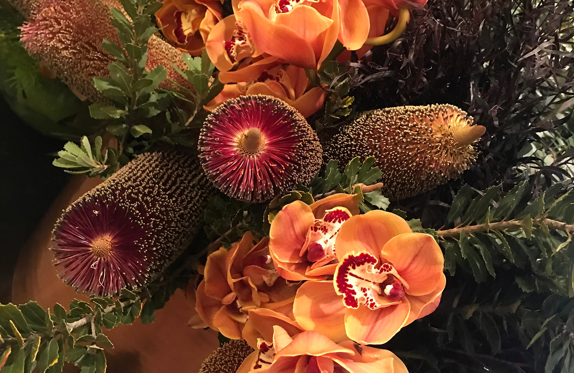 Bunches of Banksia