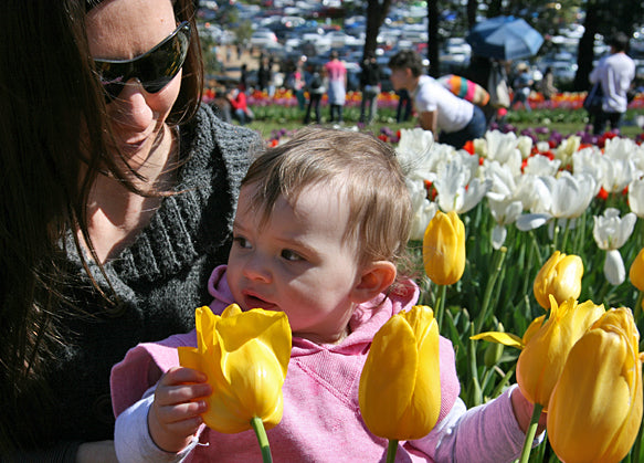 Tesselaar Tulip Festival